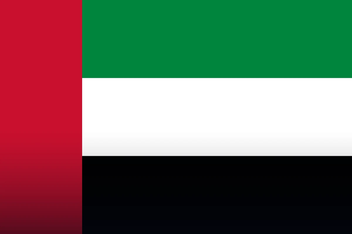 UAE city skyline with a tall tower